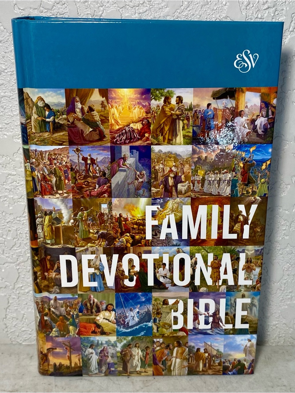 ESV Family Devotional Bible with Ribbon Marker Hardcover Crossway Illustrations